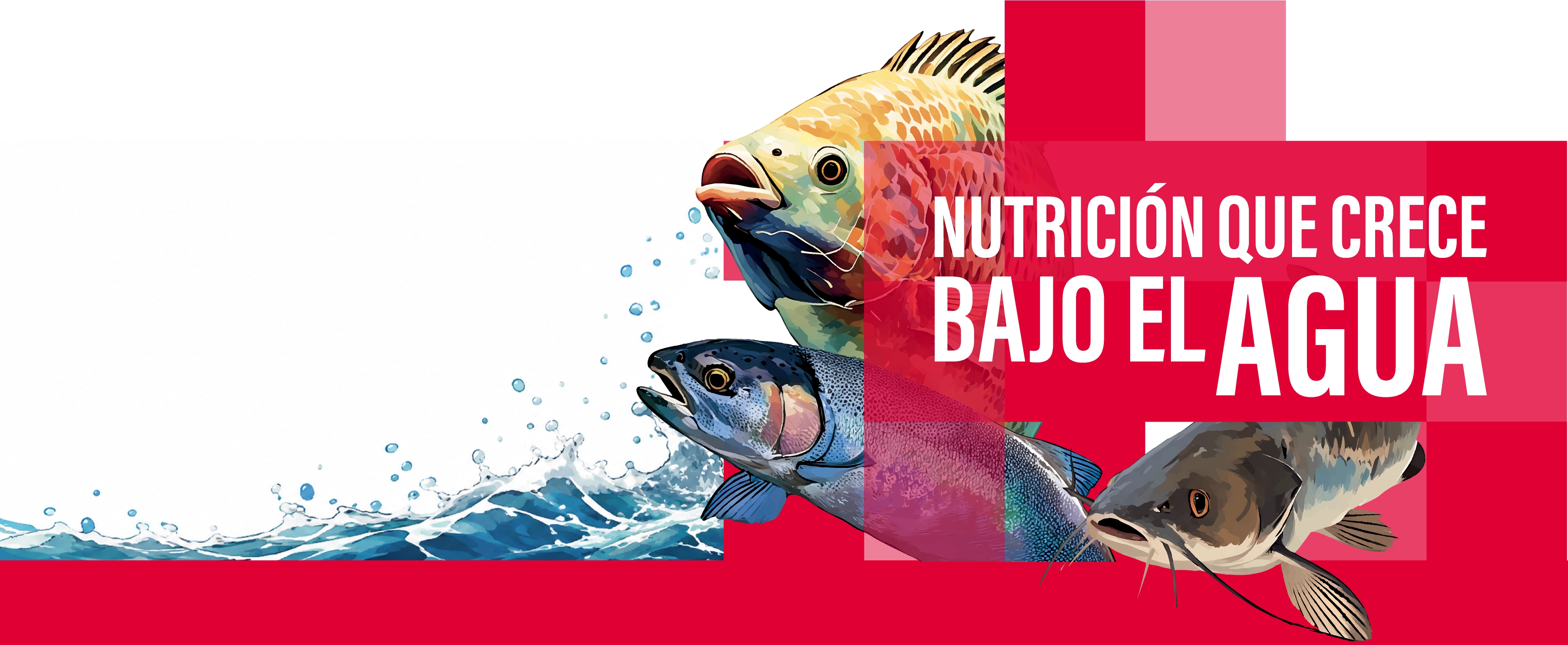 Nutrición que crece bajo el agua — Tilapia, Trucha, Bagre